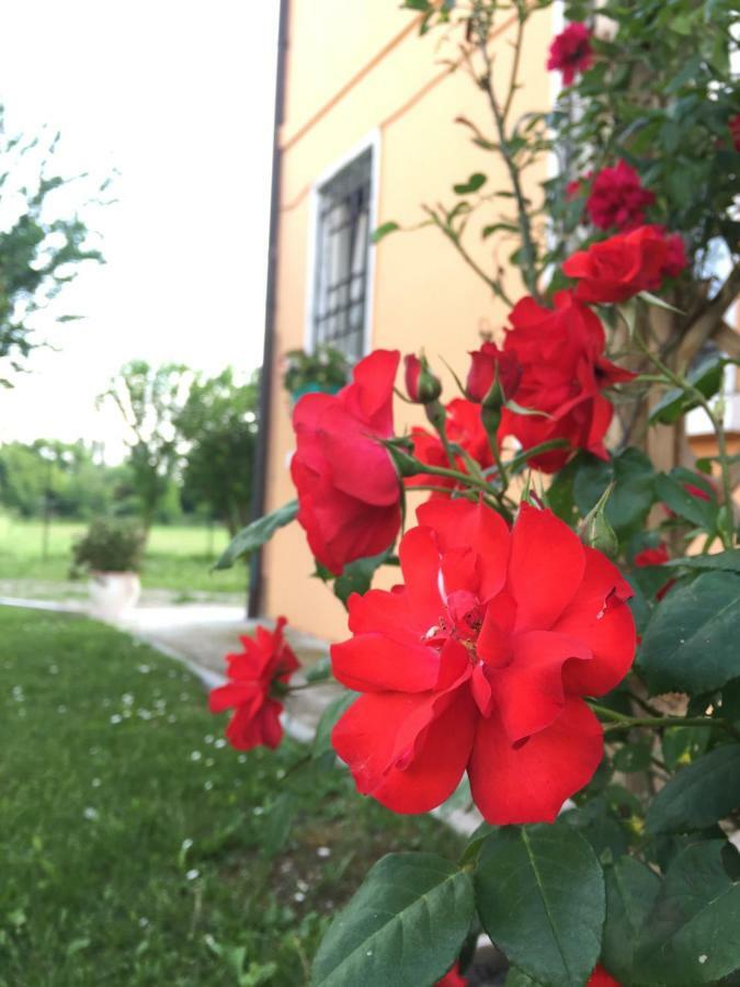 Il "Green " In Giardino Ferrara Exterior foto